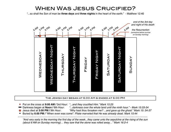 10256569_10201575758977467_7056168166965366542_o